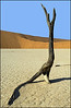 Namibia : 